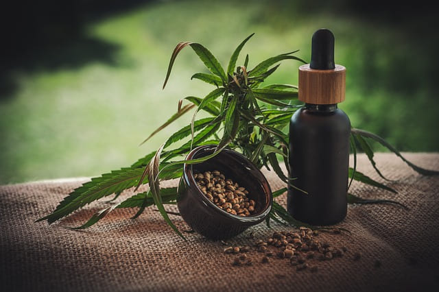 Professional trade with seeds and CBD products in the hemp shop