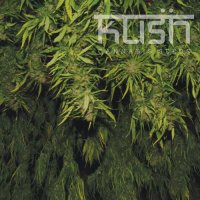 Afghani Kush Afghani Kush