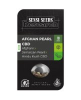 Afghan Pearl CBD Automatic