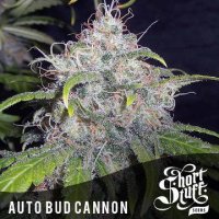 Auto Bud Cannon
