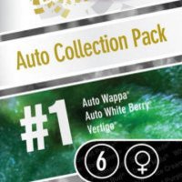 Auto Collection #1 6 fem