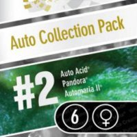 Auto Collection #2 6 fem