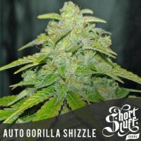 Auto Gorilla Shizzle