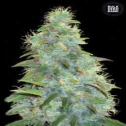 Une image générale