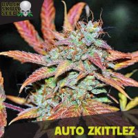 Auto Zkittlez fem