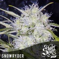 Snowryder Auto