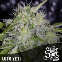 Auto Yeti