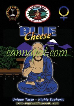 Big Buddha Blue Cheese fem - zum Schließen ins Bild klicken