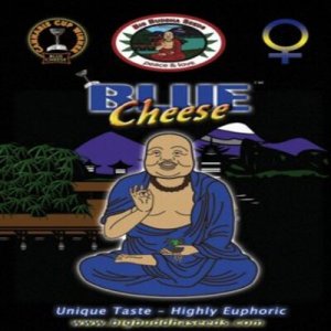 (imagen para) Big Buddha Blue Cheese fem