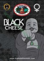 Black Cheese fem