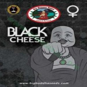 (image for) Black Cheese fem