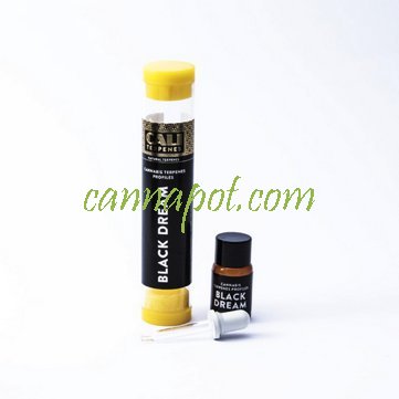 Blackberry Kush 1ml - CaliTerpene - zum Schließen ins Bild klicken