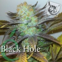 Black Hole female