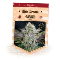 Blue Dream fem