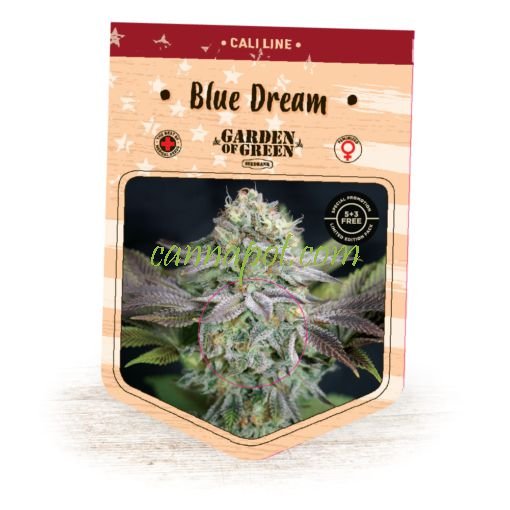 Blue Dream fem - zum Schließen ins Bild klicken