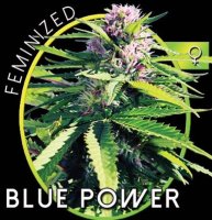 Blue Power fem