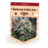 Blueberry Cookies Auto fem