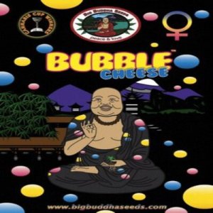 (Bild für) Bubble Cheese fem
