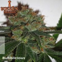 Bubblicious