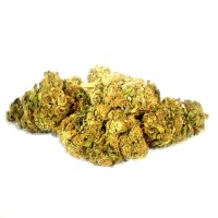 Bud Spenca CBG Fleurs