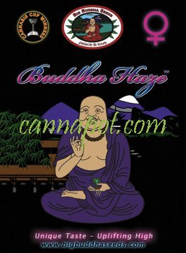 Buddha Haze fem - zum Schließen ins Bild klicken