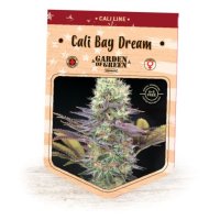 Cali Bay Dream fem