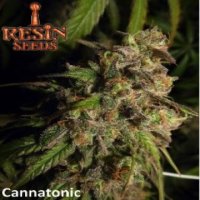 Cannatonic