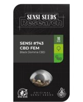 Sensi #743 CBD