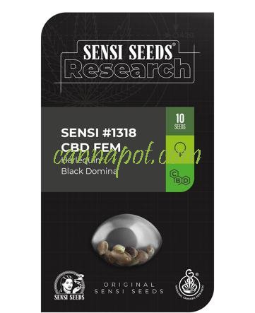 Sensi #1318 CBD - zum Schließen ins Bild klicken