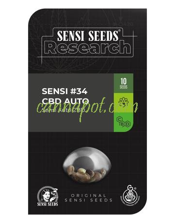 Sensi #34 CBD Automatic - zum Schließen ins Bild klicken