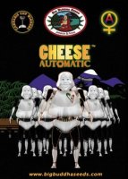 Cheese Automatic fem