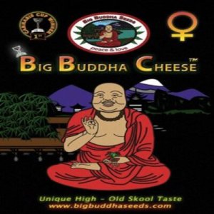 (image pour) Big Buddha Cheese fem