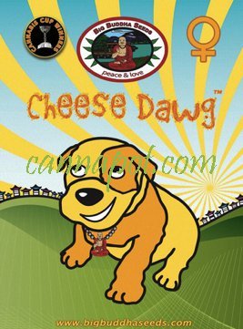 Cheese Dawg fem - zum Schließen ins Bild klicken