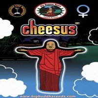 (image for) Cheesus fem