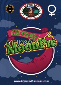 Cherry Moon Pie fem - zum Schließen ins Bild klicken