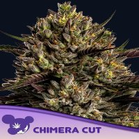 Chimera Cut