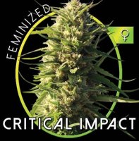 Critical Impact fem