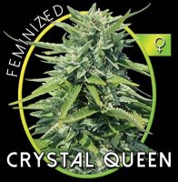 Crystal Queen fem