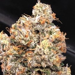 Ein allgemeines Bild