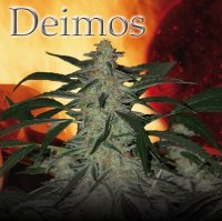 Deimos Auto fem