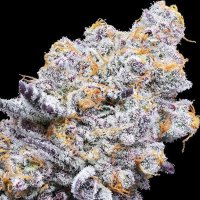 (Bild für) Deluxe Sugarcane