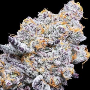 (Bild für) Deluxe Sugarcane