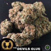 Devils Glue