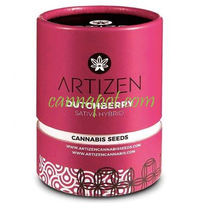 Dutchberry - zum Schließen ins Bild klicken