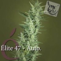 Elite 47 Automatic female
