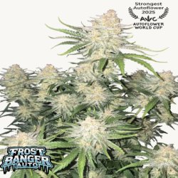 Ein allgemeines Bild