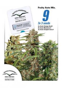 Fruity Autoflower Mix