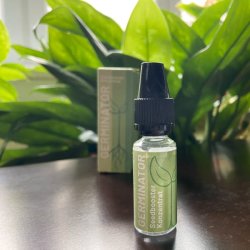 Ein allgemeines Bild