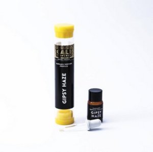 Gipsy Haze 1ml - CaliTerpene