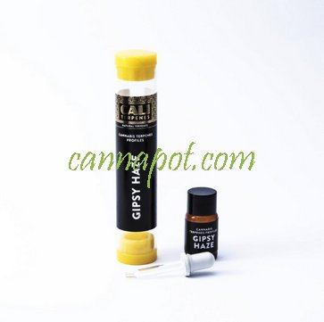 Gipsy Haze 1ml - CaliTerpene - zum Schließen ins Bild klicken